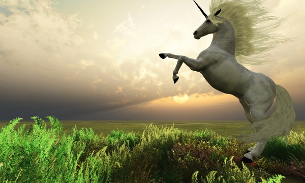 宏泰配资 年收393亿! 湖南独角兽, 要IPO了