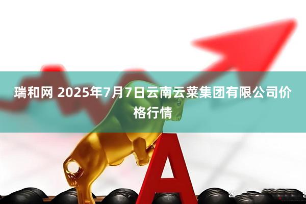 瑞和网 2025年7月7日云南云菜集团有限公司价格行情