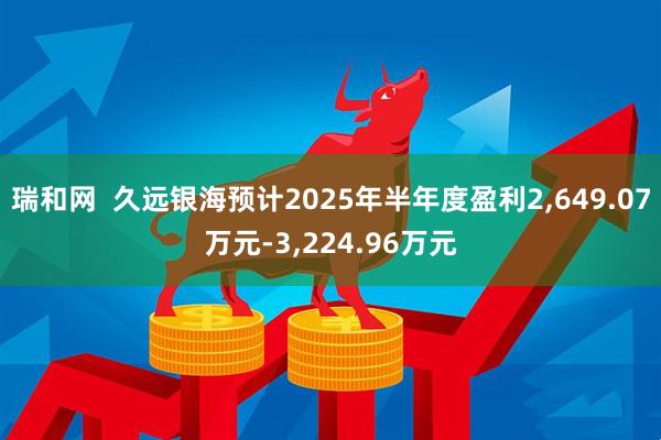 瑞和网  久远银海预计2025年半年度盈利2,649.07万元-3,224.96万元