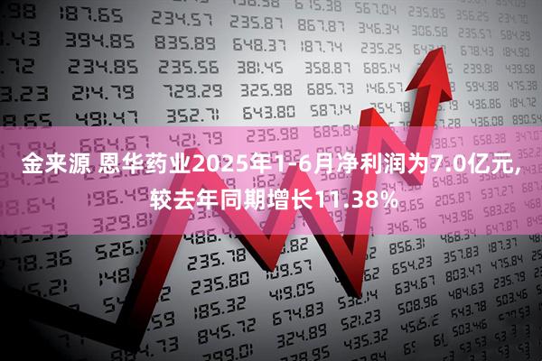 金来源 恩华药业2025年1-6月净利润为7.0亿元, 较去年同期增长11.38%