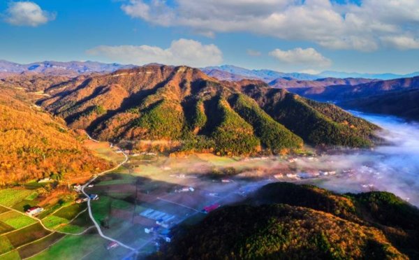 趣投顾 寻美兴山：又见榛子红