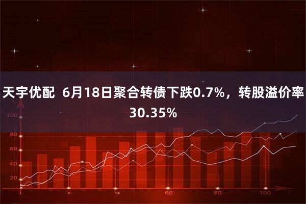天宇优配  6月18日聚合转债下跌0.7%，转股溢价率30.35%