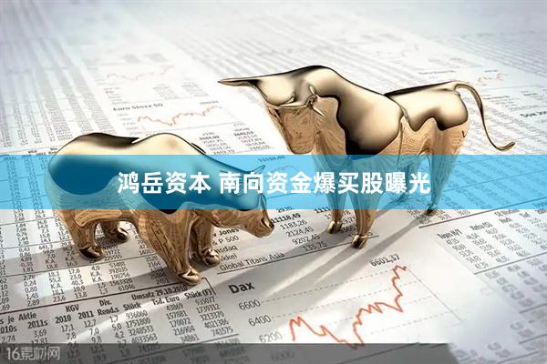 鸿岳资本 南向资金爆买股曝光